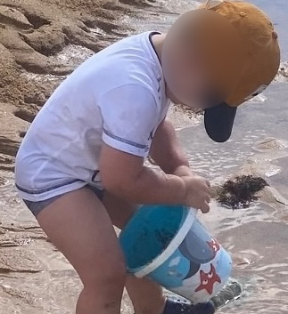 Portrait personnalisé sur carte